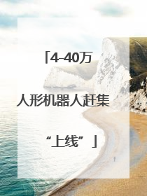 4-40万 人形机器人赶集“上线”